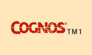 COGNOS TM1 Training