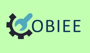 OBIEE Training