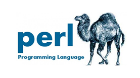 PERL Training