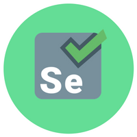 Selenium Training in Chennai